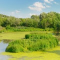 Wetland Lake