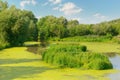 Wetland Lake