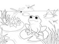 Wetland landscape with animals coloring book for adults vector illustration. Black and white lines insect, frog, cane Royalty Free Stock Photo