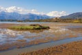 Wetland landscape. Montenegro, Tivat. View of Tivat Salina . Halophytic vegetation