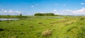 Wetland landscape of nature reserve Tiendgorzen in Haringvliet e