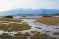 Wetland landscape, salt marsh . View of special nature reserve Solila. Tivat, Montenegro