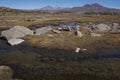 Wetland in Lauca National Park Royalty Free Stock Photo