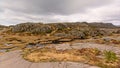 Wetland on a mountain plateau in Norway