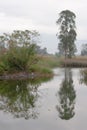 a wetland at Nam Sang Wai , hong kong Royalty Free Stock Photo