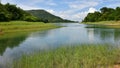 Wetland Royalty Free Stock Photo