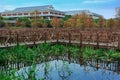 Wetland Park Maze