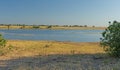 Wetland Pond in the African Veldt Royalty Free Stock Photo