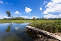 Wetland pond at blue sky in Hong Kong