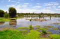 Wetland Reserve in Western Australia Royalty Free Stock Photo