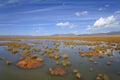 Wetland in Ruoergai automn