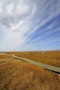 Wetland in Ruoergai automn