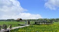 Wetland Scenery of Beijing-Hangzhou Grand Canal in Tongzhou, China Royalty Free Stock Photo