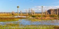 Wetland Scenery near Orlando, Florida Royalty Free Stock Photo