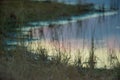 Wetland shoreline at dusk / early evening with blue, purple, orange cloudy sky reflected on the calm lake shoreline waters in the Royalty Free Stock Photo