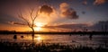 Wetland Sunset Royalty Free Stock Photo