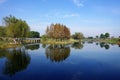 Wetland by the Taihu Lake