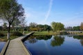 Wetland by the Taihu Lake