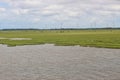 The wetland Vejlerne nature reserve in Denmark, Europe.