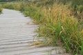 Wetland Walkway