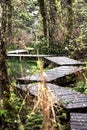 Wetland walkway in the snow