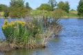 Wetlands