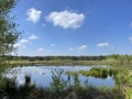 Wetlands around Beerze