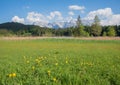 Wetlands around lake gerold with protected trollius flowers, view to the alps Royalty Free Stock Photo