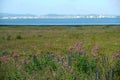 Wetlands in the Bahia de Santander