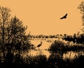 Wetlands bird santuary graphic orange