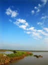 Wetlands And Blue Sky