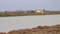 Wetlands in the Camargue on a sunny day in springtime