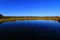 Wetlands Royalty Free Stock Photo