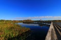 Wetlands Royalty Free Stock Photo