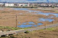 Wetlands in Don Edwards wildlife refuge, Fremont, San Francisco bay area, California