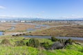 Wetlands in Don Edwards wildlife refuge, Fremont, San Francisco bay area, California