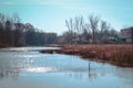 Wetlands at the Frederik Meijer Gardens