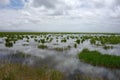 Wetlands in Gannan Royalty Free Stock Photo