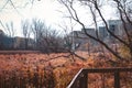 Wetlands landscape at the Frederik Meijer Gardens in the fall