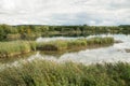 Wetland in Luxembourg, Haff Reimich nature reserve Royalty Free Stock Photo