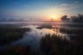 wetlands and marshes in the morning mist, with colorful sunrise