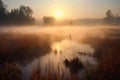 wetlands and marshes in the morning mist, with colorful sunrise