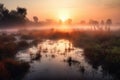 wetlands and marshes in the morning mist, with colorful sunrise