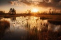 wetlands and marshes, with sunset in the background, bringing calmness to the scene