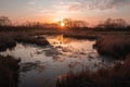 wetlands and marshes, with sunset in the background, bringing calmness to the scene