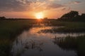 wetlands and marshes, with sunset in the background, bringing calmness to the scene
