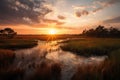 wetlands and marshes, with view of sun setting over the horizon