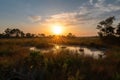 wetlands and marshes, with view of sun setting over the horizon