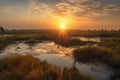 wetlands and marshes, with view of sun setting over the horizon