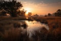 wetlands and marshes, with view of sunset or sunrise, providing a peaceful and serene setting